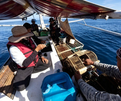 Tradisi Menghanyut dan Memanggil Ikan Pelaut Mandar